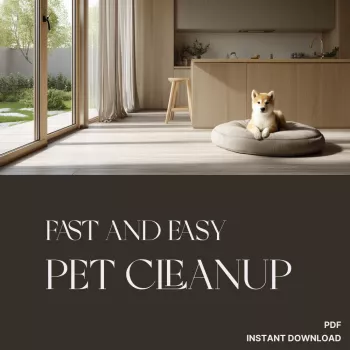 Fast Pet Cleanup Routine for Busy Homes (10 Minutes)